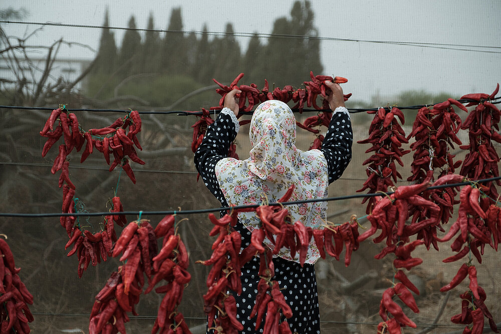 Nabila trocknet Chilischote, bevor sie sie zu Harissa-Paste verarbeitet. DVV International. ©Augustin Le Gall