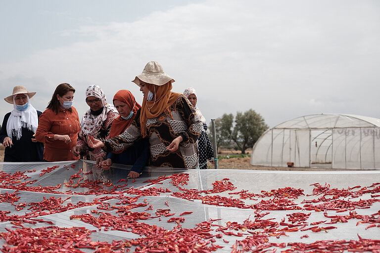 Nabila und die Lernenden des Landwirtschaftszentrums in Chbedda werden in handwerklichen und landwirtschaftlichen Tätigkeiten fortgebildet. Diese Schulungen werden ergänzt durch Kurse zu Alphabetisierung und citizenship education. Jedes Jahr nehmen etwa hundert Frauen an den von der Nationalen Union der tunesischen Frauen organisierten Ausbildungskursen teil. DVV International. ©Augustin Le Gall