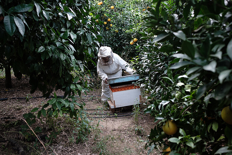 Fatma kontrolliert die Gesundheit der Bienen in ihren Bienenstöcken. Fatma weiß, dass Bienen sehr wichtig für die Artenvielfalt sind. Ihre wichtige Rolle bei der Bestäubung von Nutzpflanzen und Wildblumen macht sie zu einem wesentlichen Element für das Überleben der Menschen. DVV International.  ©Augustin Le Gall